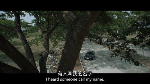 亡命刺杀令,亡命刺杀令下的生死较量