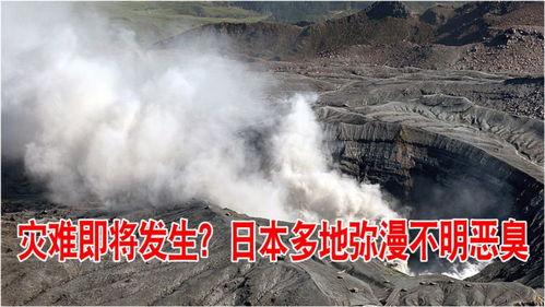 灾难发现,紧急救援与重建之路