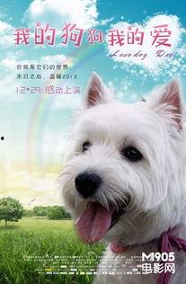 我的狗狗我的爱,我的永恒爱侣