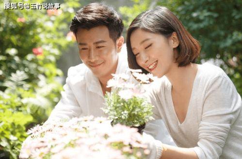 萧总夫人又要离婚了,情感纠葛再掀波澜