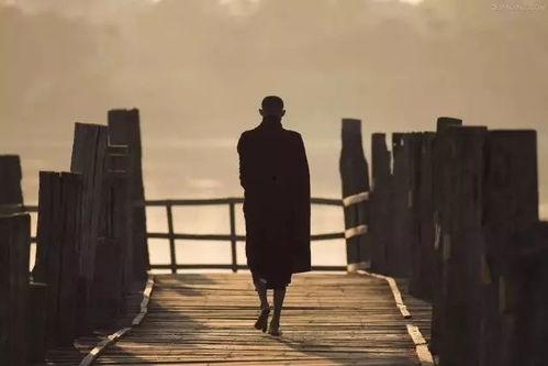 你我皆是摆渡人,共赴生命旅程的温暖陪伴