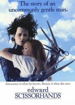 亡命女记者,一位亡命女记者的惊险历程