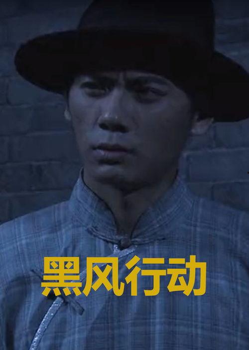 黑风计划,揭秘神秘网络战背后的秘密行动