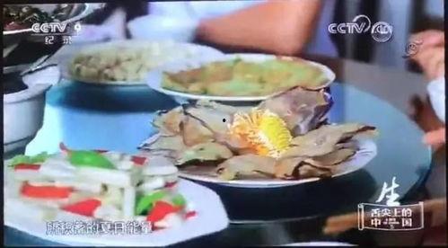 塔可美食纪 第三季,味蕾之旅，探索全球美食秘境