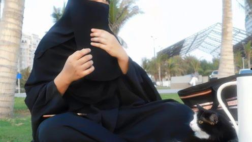 娱乐吃瓜君的照片